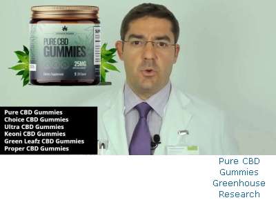 Pure CBD Gummies Main Ingredients